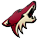 Phoenix Coyotes 163306